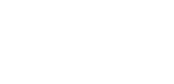 Statera Consulting Logo